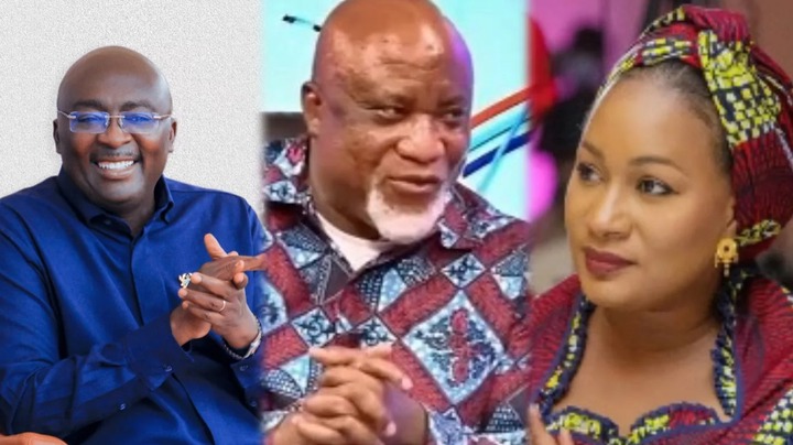 This is ‘Tantrum Tour’, not ‘Thank You’ – Hopeson Adorye slams NPP [Audio]