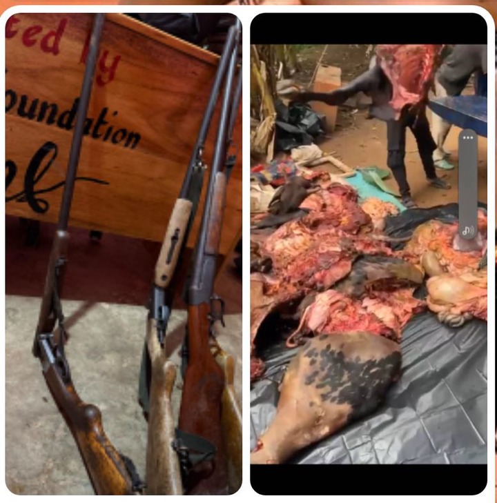 11 in Police Grip for killing 28 Cattle belonging to Fulani Herdsmen at Kwahu Pepease