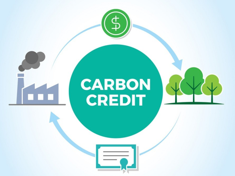Hilda Aku Asiedu: Ghana’s carbon credit pension proposal
