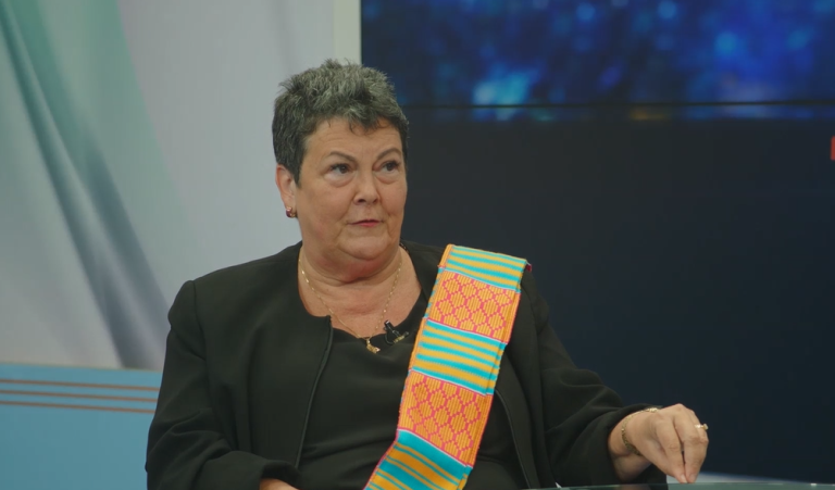 U.S. deports only lawbreakers – Ambassador Palmer
