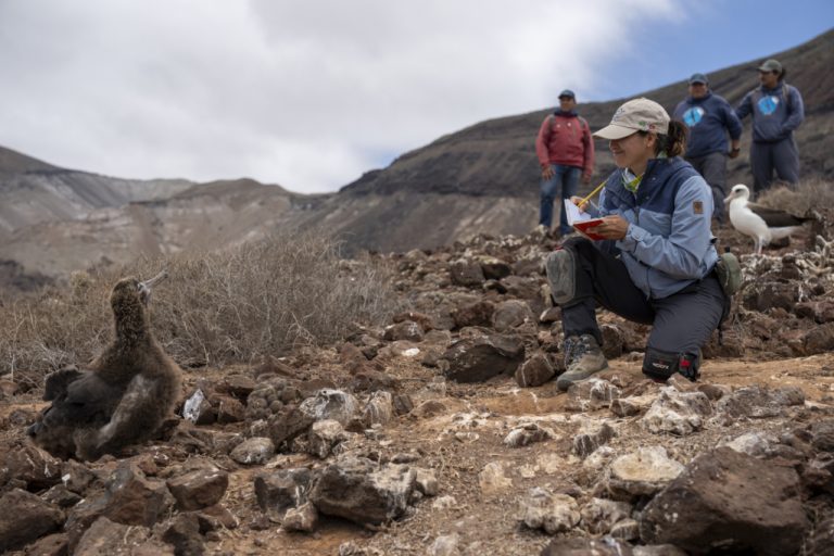 Women leaders call for urgent climate action ahead of COP30