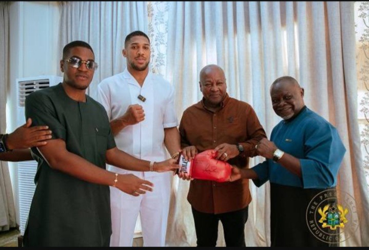 ‘Scrutinise Sharaf Mahama The Same Way Ghanaians Served Akufo-Addo And His Daughters’ —NPP GERMANY