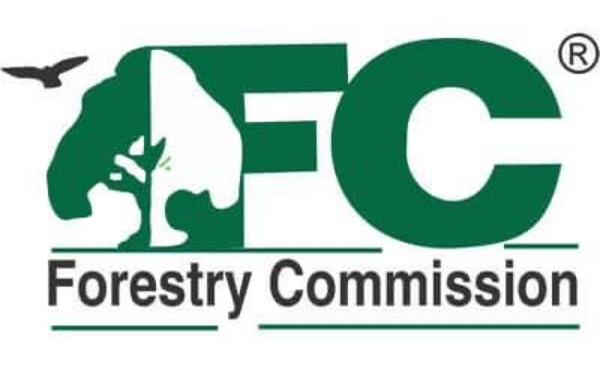 Forestry Commission team attacked by armed thugs in Jimira forest