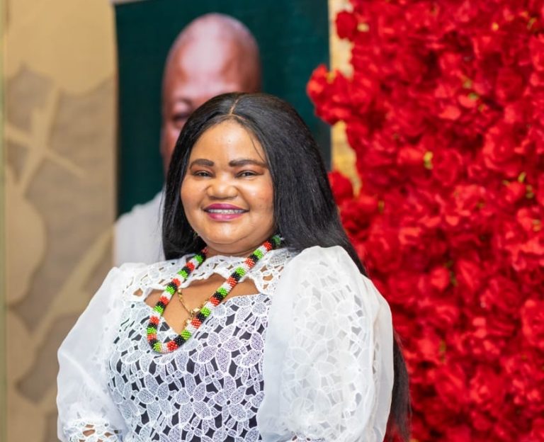 Global perception of Ghana improving under Mahama’s leadership – NDC USA Chair
