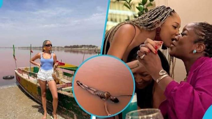 Edwina Akufo-Addo Flaunts Her Swimwear Look While Swimming in Senegal’s Pink Lake