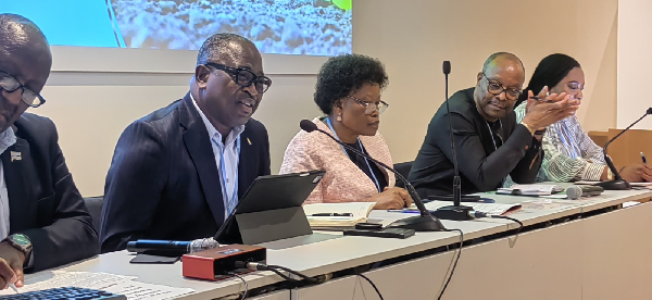 Ghana’s climate minister makes strong investment case for African NDCs in Germany