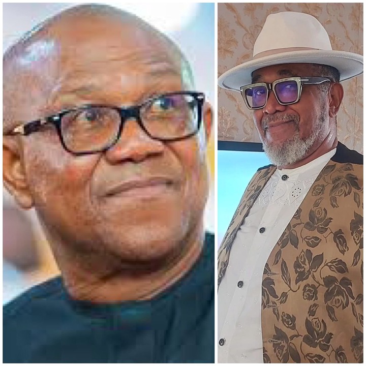 Actor, Patrick Doyle tackles Peter Obi over his ‘borderline neurotic and outright petty’ criticism of the Tinubu government