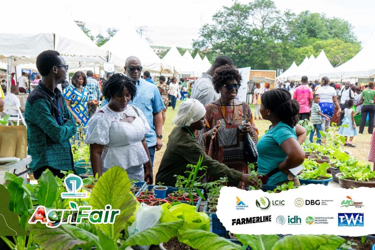 Agriculture in Focus: A call for sector-wide revitalisation