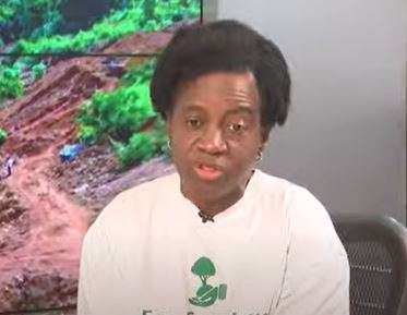 The ecological situation is dire and we need robust action – Awula Serwah