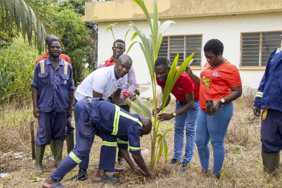 Environment-Trees-Planting-Pic-1.jpeg