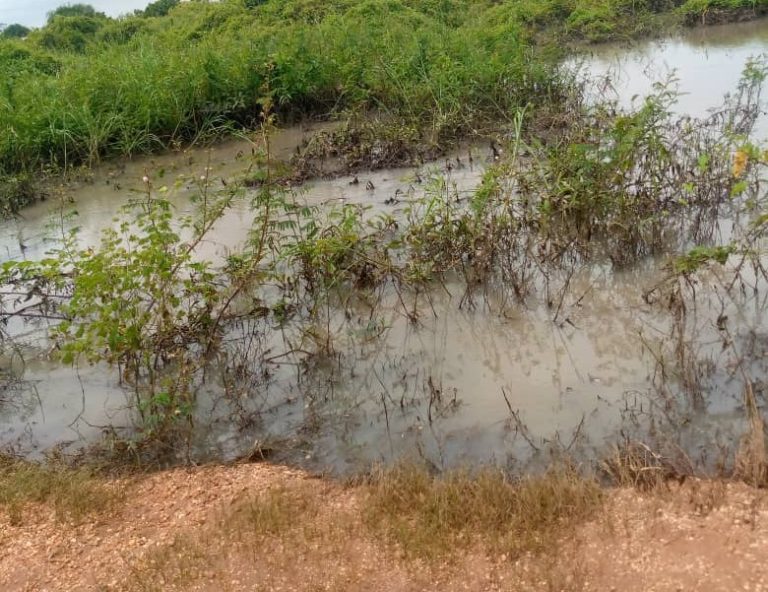 Sand mining in Adidome disrupts water treatment – GWL