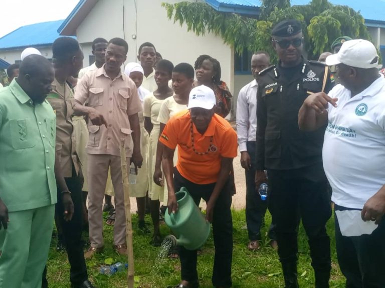Oti Regional Minister Calls for Sustainable Tree Planting 