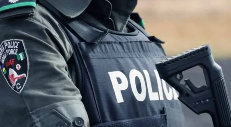 Nigerian police recover stolen vehicles from Ghana and Niger
