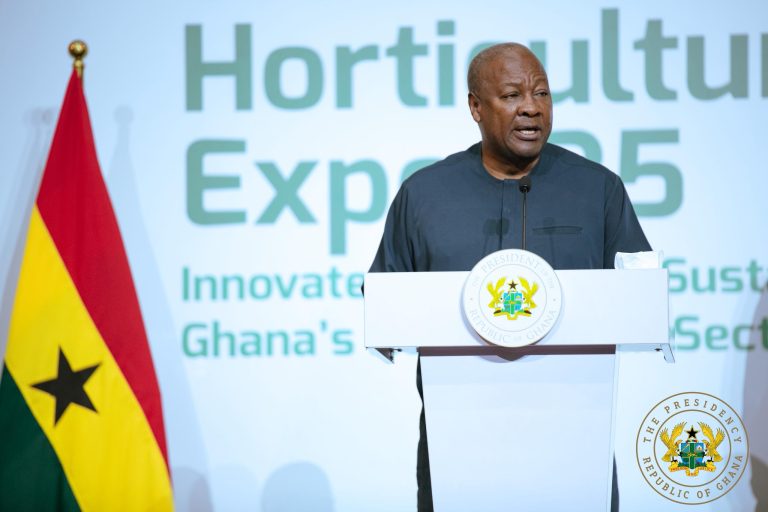 Tema, Takoradi Ports to operate as 24-Hour Ports – Mahama  