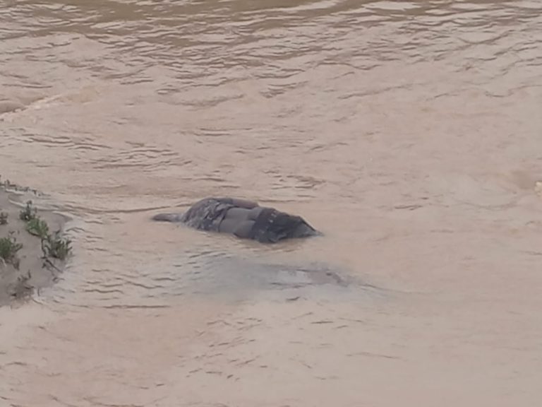 Man found dead in stream after heavy rains at Oforikrom