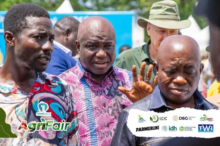 ‘We must feed ourselves to be truly free’ – Agric Minister