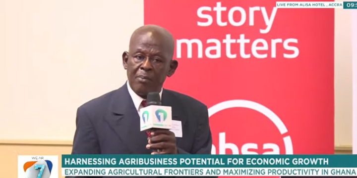 Finance, Agri-processing remain Ghana’s weakest links in Agriculture – Prof. Kanton