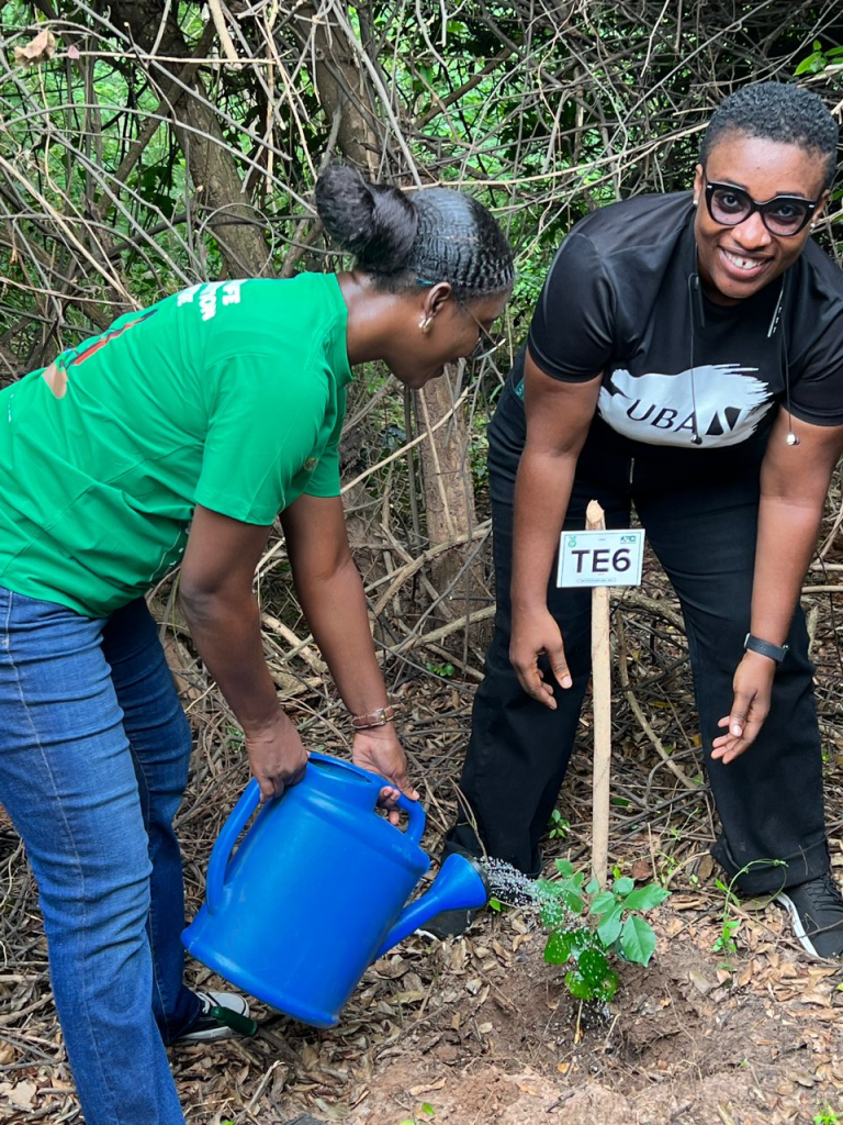 Tree planting is everyone’s business