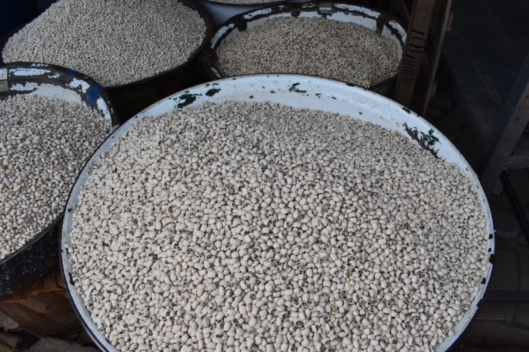 Why Songotra-T cowpea seeds availability is key for survival of farmers in Northern Ghana