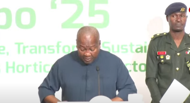 Tema and Takoradi Ports to become 24-hour hubs soon – Mahama