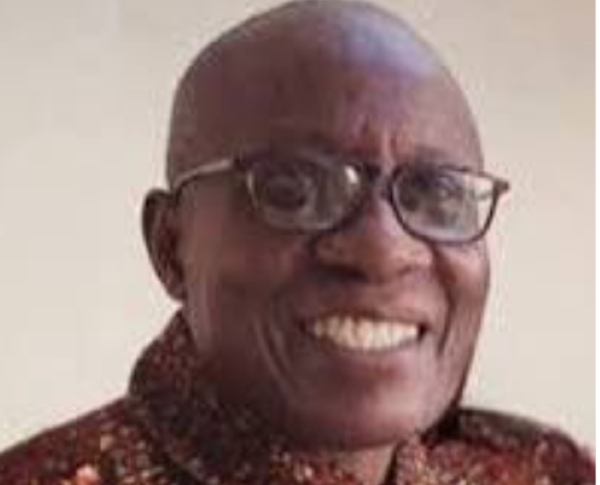 Pan-Africanists rally support for the sahel; calls for boycott of French goods