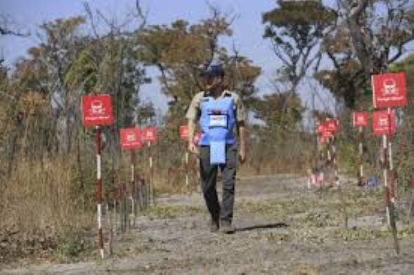 Harry in Diana’s footsteps with landmine walk in Angola