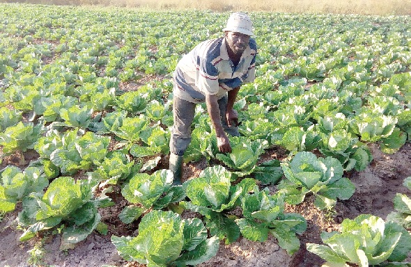 Funding gap hits agric sector