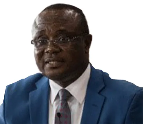 NPP Bans Campaign Posters Ahead Of Delegates’ Confab