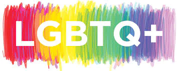 Ghana MP Criticizes UN Abstention on LGBTQ+ Expert as “Missed Opportunity”