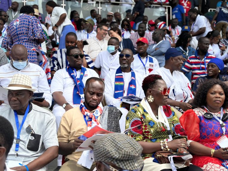 NPP delegates reject constituency officers’ involvement in Polling Station albums