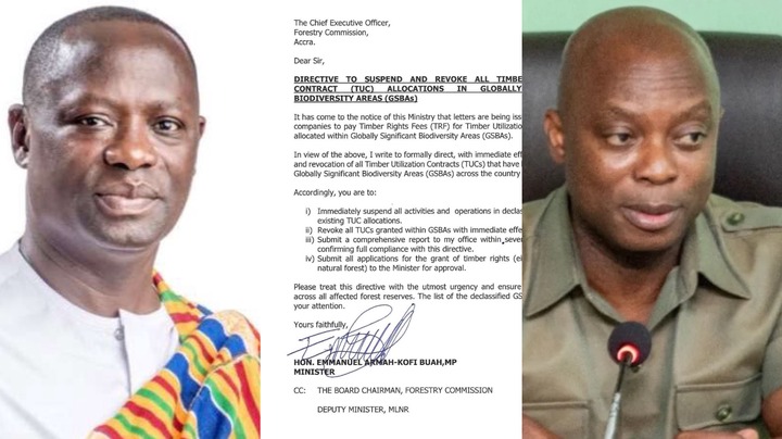 Armah Buah Orders Forestry CEO To Reverse 107 Timber Concessions He Gave Covering Protected Areas