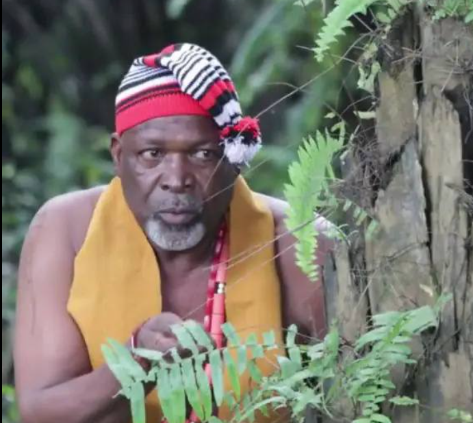 Veteran Nollywood actor passes on after battle with cancer