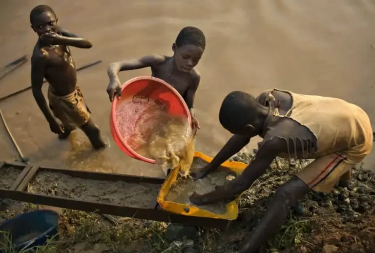 National NGO Forum urges urgent action to end child labour in galamsey