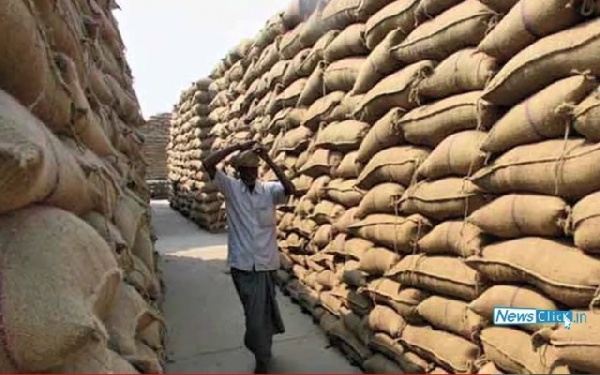Gov’t tasks Buffer Stock Company to buy surplus grains from farmers