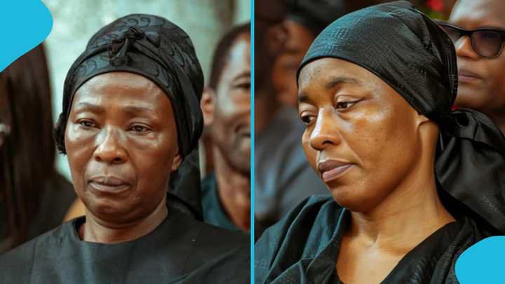 Akosua Serwaa’s Injunction Struck Out, Odo Broni And Abusuapanin Triumph