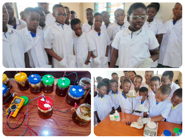Pupils at Divine Mission Academy turn hibiscus, scent leaf and wastewater into science innovations