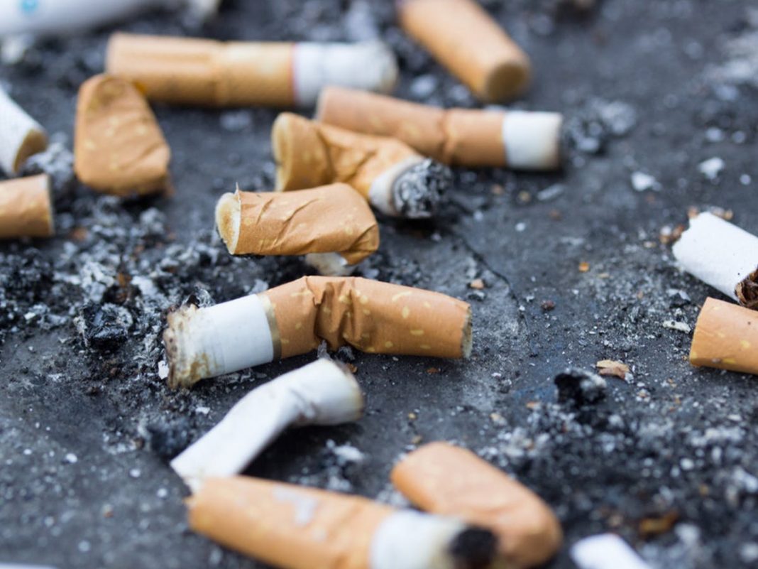Impostos Bombando! VAST-GHANA Quer Aumentar Taxas em Produtos Ruins no Orçamento de 2026