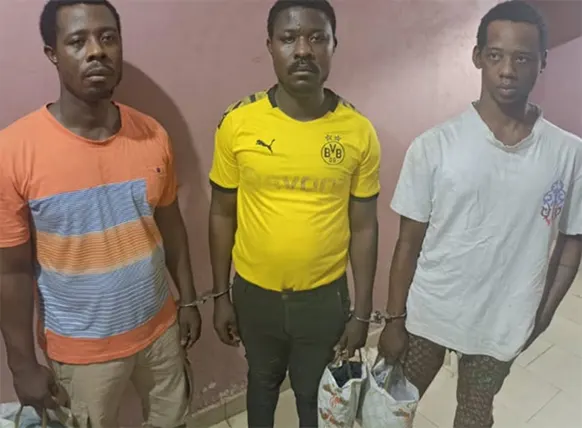 Highway Robbers Get 20-Year Jail Term