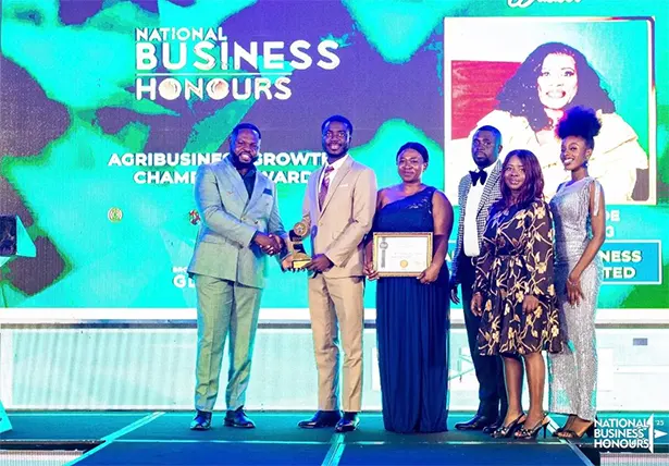 Check Out Winners of 5th National Business Honours Gala