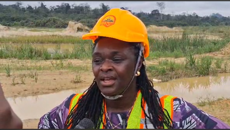 Private sector urged to help restore Ghana’s degraded lands – EPA