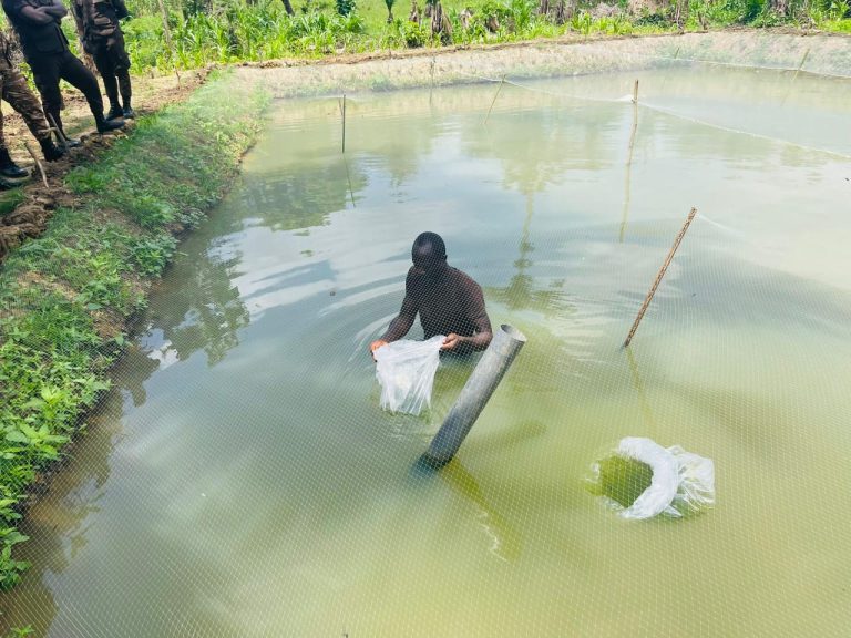 Fisheries Commission supports Sunyani Central Prisons fish farming project    