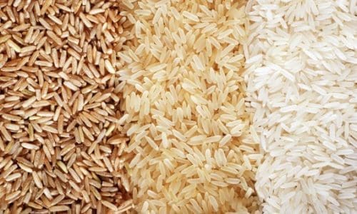 Agribusiness Chamber Urges Import Ban to Clear Grain Glut
