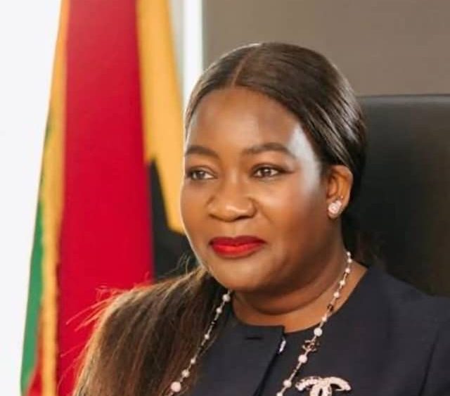 We will consolidate 2025 gains in 2026- MIIF CEO