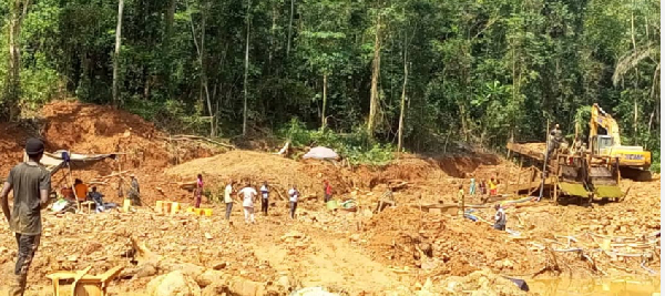 Illegal mining in forest reserves expanded by 70% between 2021 and 2024