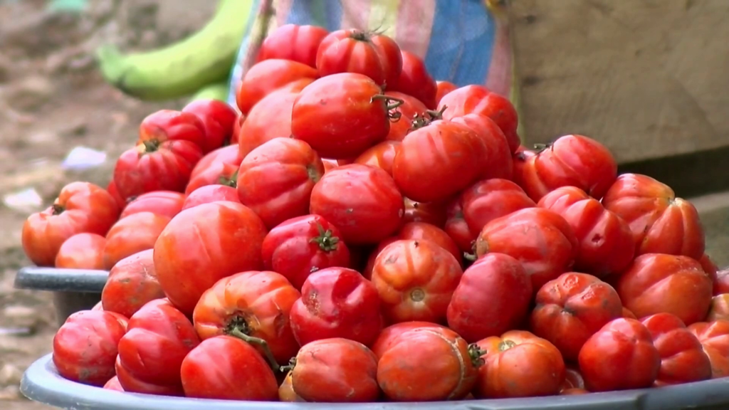 Government to engage Burkina Faso over tomato export ban, urges calm