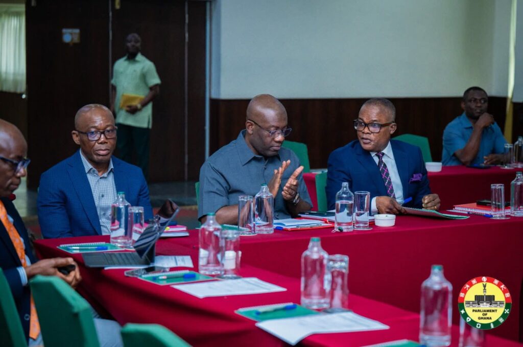 Minority proposes PFM amendment to align budget with national development plan