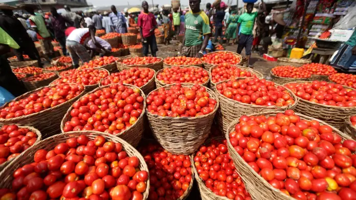 Ghana–Burkina Faso intensify trade talks over tomato export ban