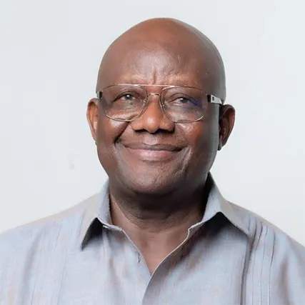 NPP Holds Edge For 2028 Win- Afoko