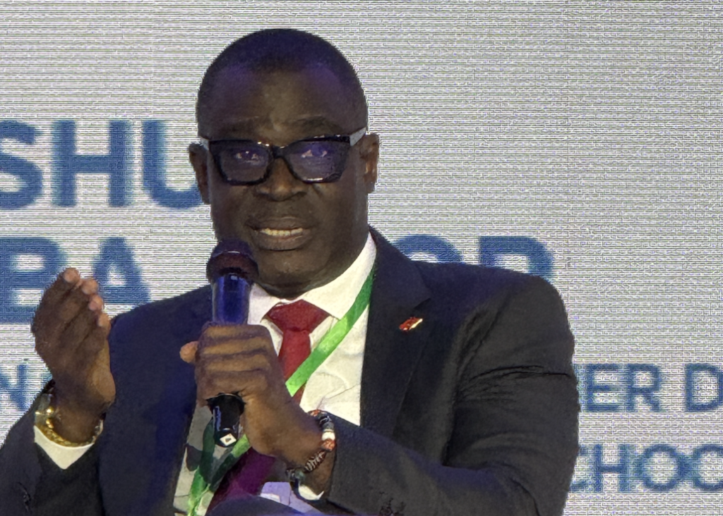 UBA Ghana MD calls for shift from ESG frameworks to execution