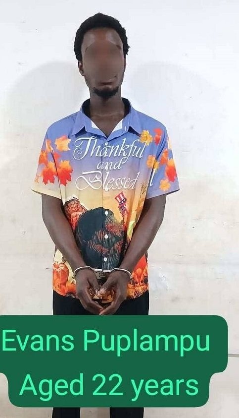 Police arrest suspect for causing fear and panic